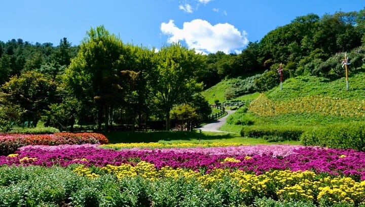 경기도 드라이브 - 용인 농촌 테마파크