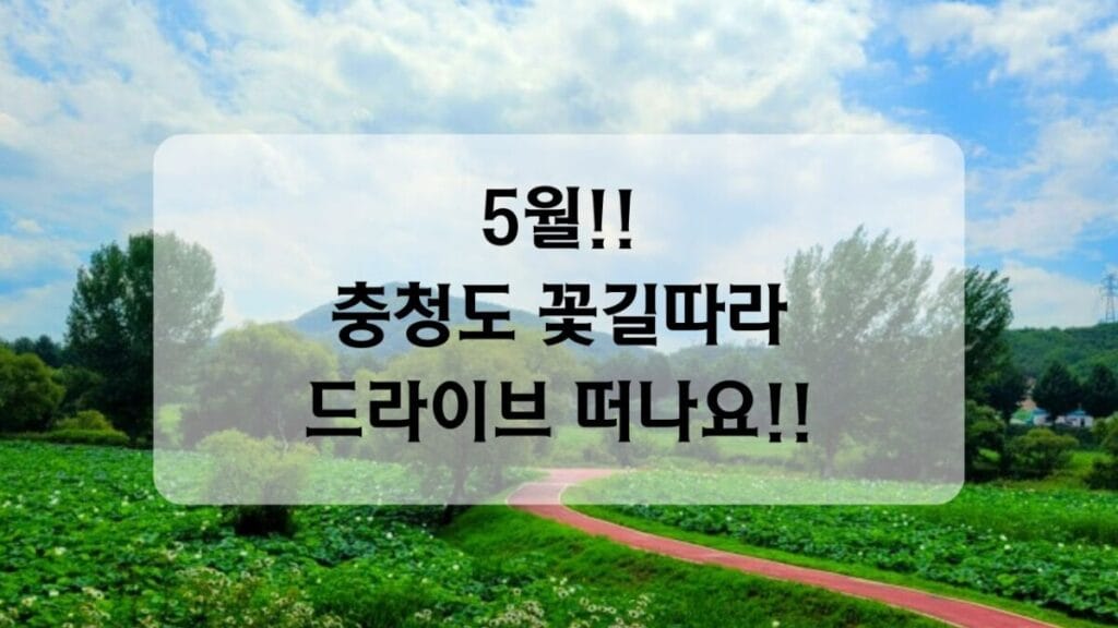 썸네일-충청도 드라이브