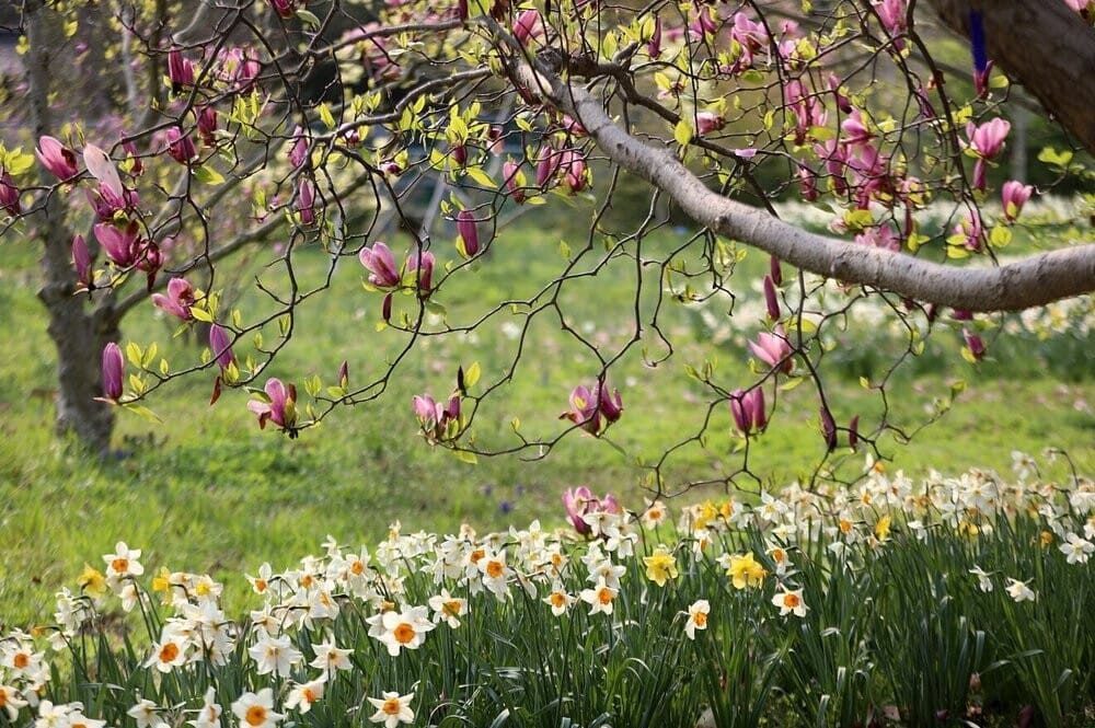 충청 드라이브 - 천리포 수목