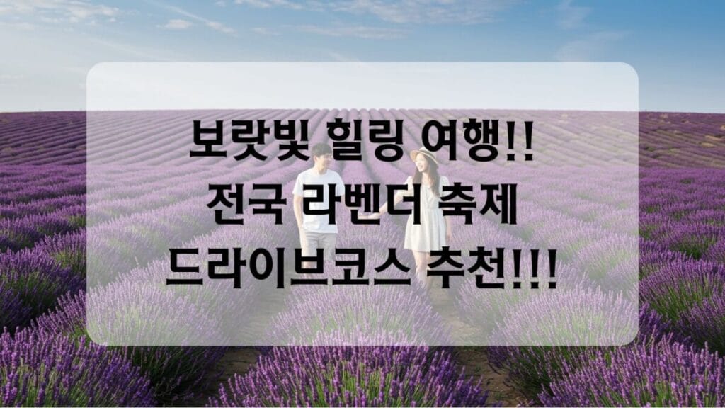 썸네일-라벤더 축제