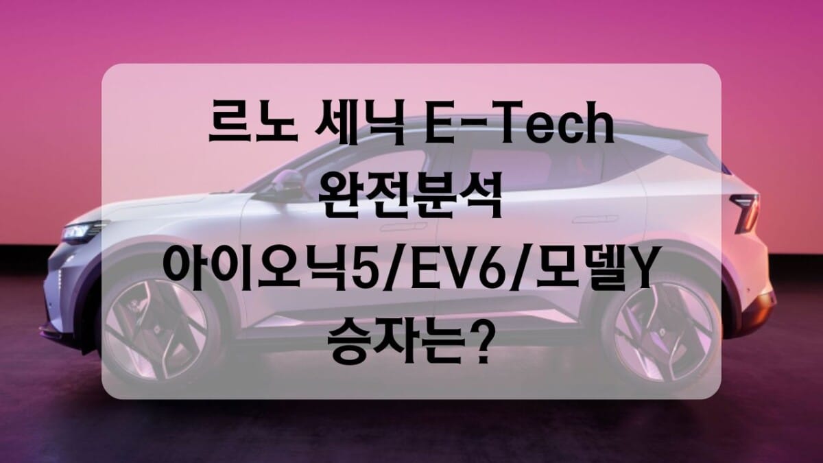 르노 세닉 완전분석