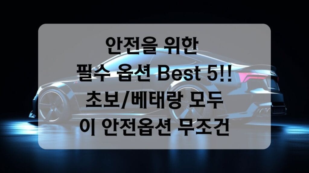 썸네일-안전옵션